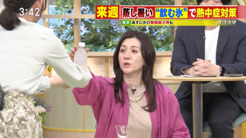 友廣南実_ゴゴスマ～GOGO!Smile!～_20250529_031