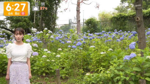 今井春花_グッド!モーニング_20250608_019