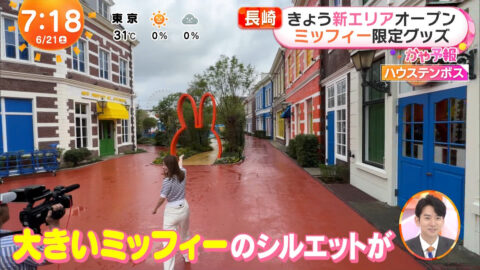 阿部華也子_めざましどようび_20250621_012