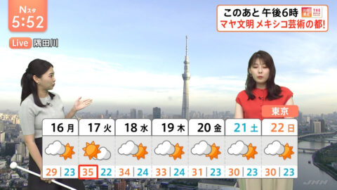 高安奈緒子_Nスタ_20250615_029