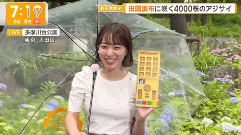 今井春花_グッド!モーニング_20250608_023