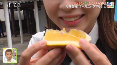 大仁田美咲_朝だ!生です旅サラダ_20250524_004