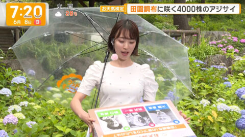 今井春花_グッド!モーニング_20250608_028
