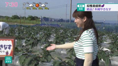 山下佳織_NHKニュース おはよう日本(関東甲信越)_20250621_009