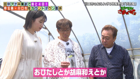 田中瞳_モヤモヤさまぁ～ず2_20250607_013