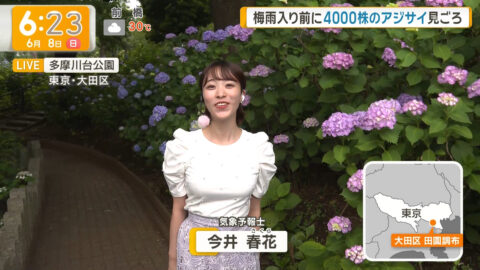 今井春花_グッド!モーニング_20250608_002