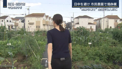 下村彩里_報道ステーション_20250618_016