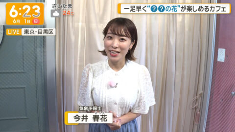 今井春花_グッド!モーニング_20250601_004