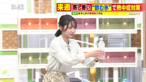 友廣南実_ゴゴスマ～GOGO!Smile!～_20250529_030