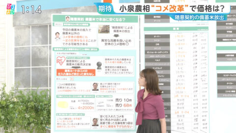 良原安美_ひるおび_20250603_006
