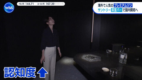 竹﨑由佳_ワールドビジネスサテライト_20250617_031