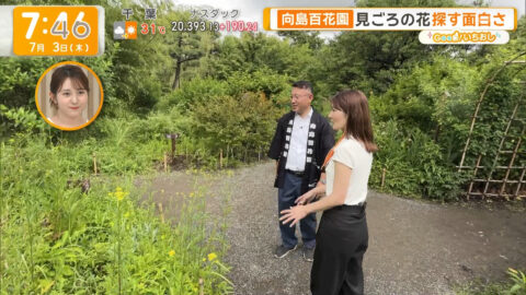 荒井理咲子_グッド!モーニング_20250703_009