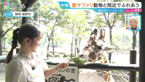 浦野芽良_ひるおび_20250709_003