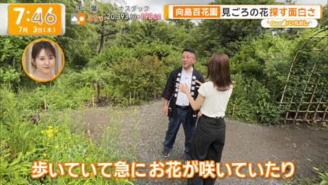 荒井理咲子_グッド!モーニング_20250703_011
