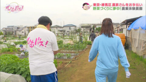 宮﨑あずさ_ひむバス!_20250724_015