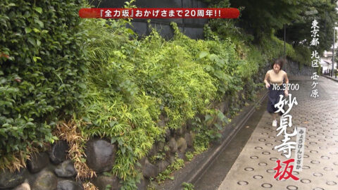 今井春花_全力坂_20250716_049