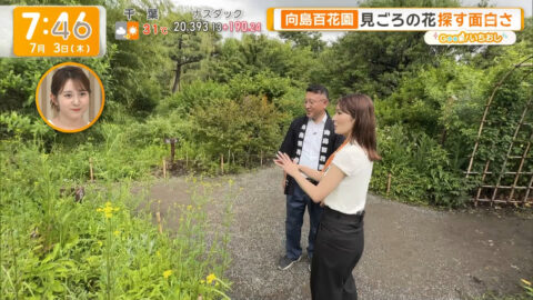 荒井理咲子_グッド!モーニング_20250703_010