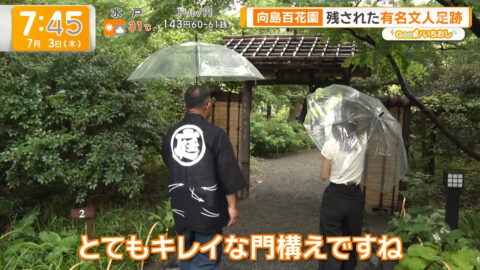 荒井理咲子_グッド!モーニング_20250703_003
