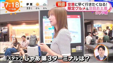 阿部華也子_めざましどようび_20250719_019