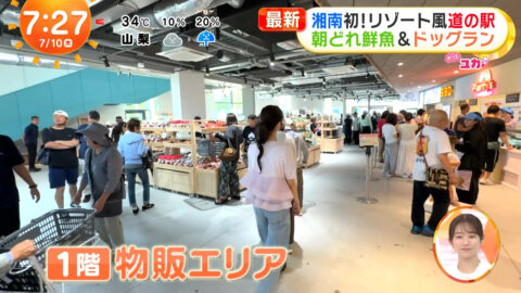 林佑香_めざましテレビ_20250710_013