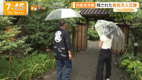 荒井理咲子_グッド!モーニング_20250703_001
