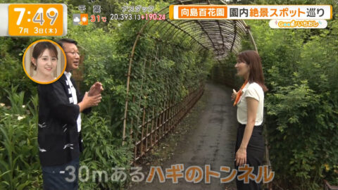 荒井理咲子_グッド!モーニング_20250703_034