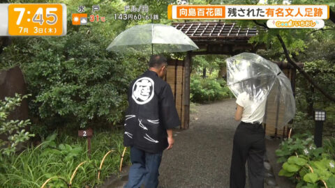 荒井理咲子_グッド!モーニング_20250703_002