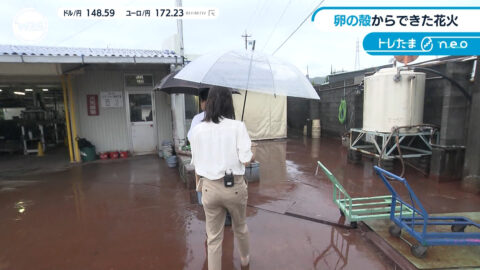 嶺百花_ワールドビジネスサテライト_20250717_042