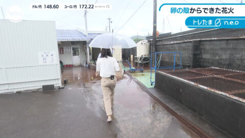 嶺百花_ワールドビジネスサテライト_20250717_034