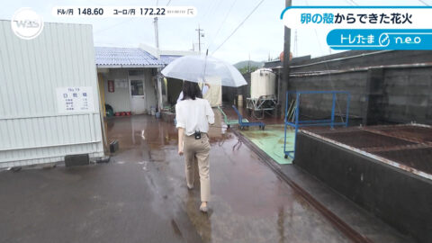 嶺百花_ワールドビジネスサテライト_20250717_035