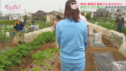 宮﨑あずさ_ひむバス!_20250724_018