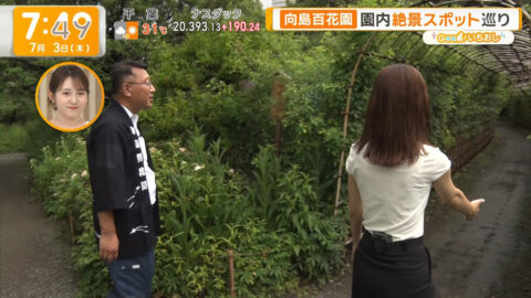 荒井理咲子_グッド!モーニング_20250703_032