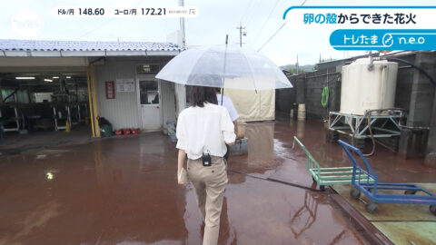 嶺百花_ワールドビジネスサテライト_20250717_041
