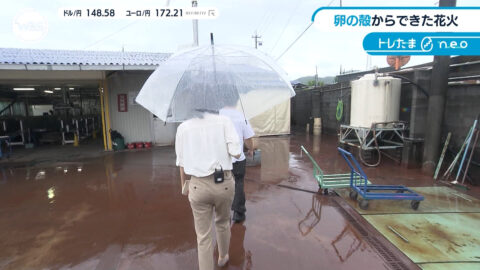 嶺百花_ワールドビジネスサテライト_20250717_040