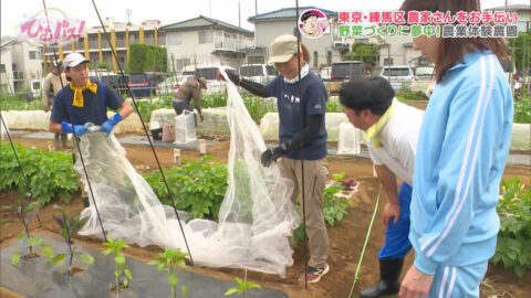 宮﨑あずさ_ひむバス!_20250724_011