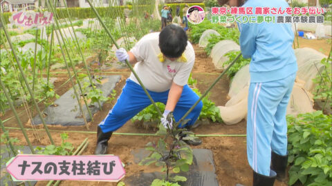 宮﨑あずさ_ひむバス!_20250724_006