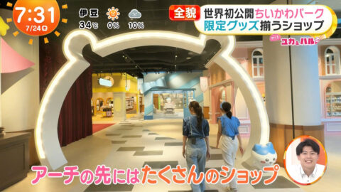 高崎春・林佑香_めざましテレビ_20250724_050