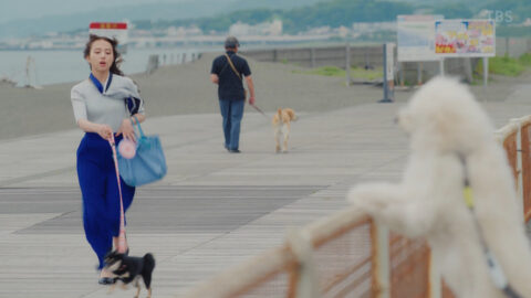 清原果耶_初恋DOGs 第1話_20250701_012