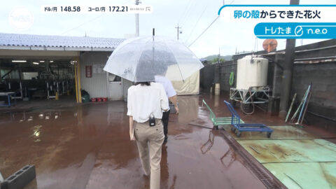 嶺百花_ワールドビジネスサテライト_20250717_039