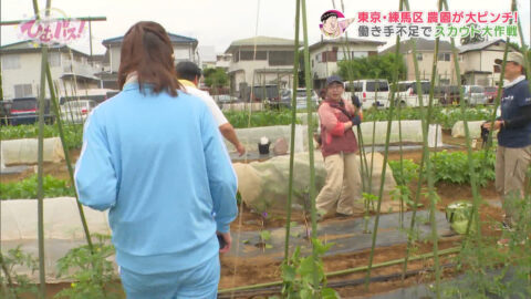 宮﨑あずさ_ひむバス!_20250724_031