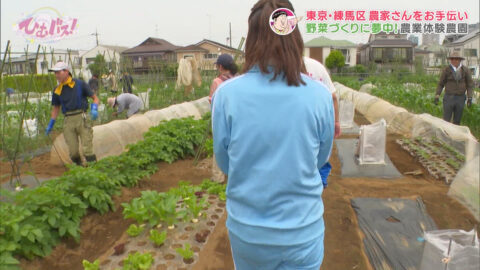 宮﨑あずさ_ひむバス!_20250724_017