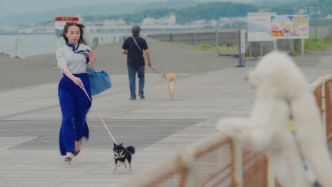 清原果耶_初恋DOGs 第1話_20250701_011