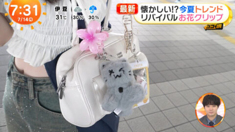 一般_めざましテレビ_20250714_044