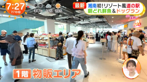 林佑香_めざましテレビ_20250710_014