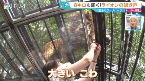 浦野芽良_ひるおび_20250709_011