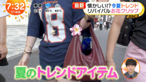 一般_めざましテレビ_20250714_046