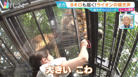 浦野芽良_ひるおび_20250709_010