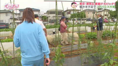 宮﨑あずさ_ひむバス!_20250724_029