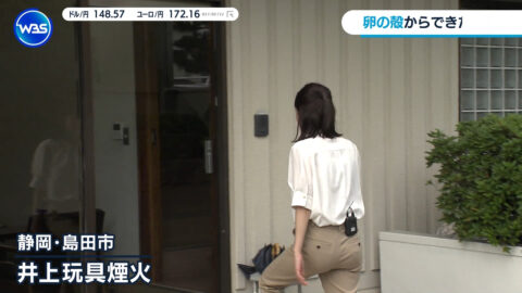 嶺百花_ワールドビジネスサテライト_20250717_014