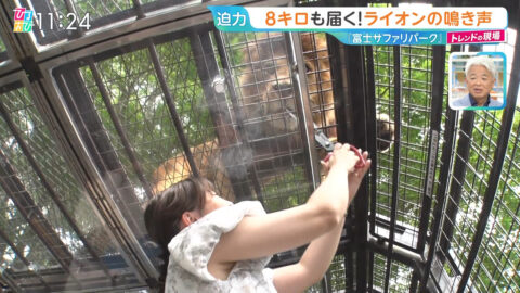 浦野芽良_ひるおび_20250709_016